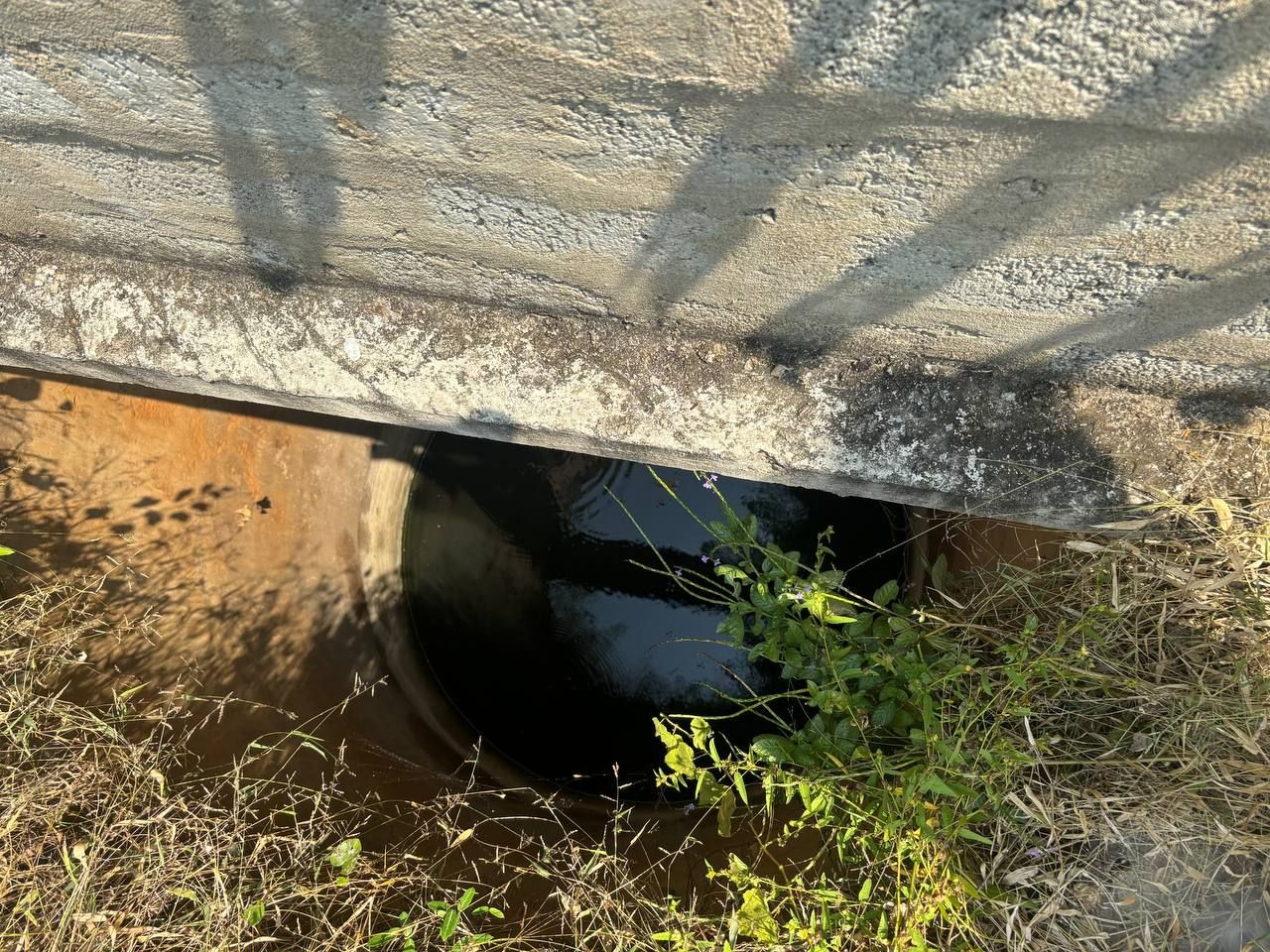 197e804d-0bd7-4aef-959f-10cbea88c29f