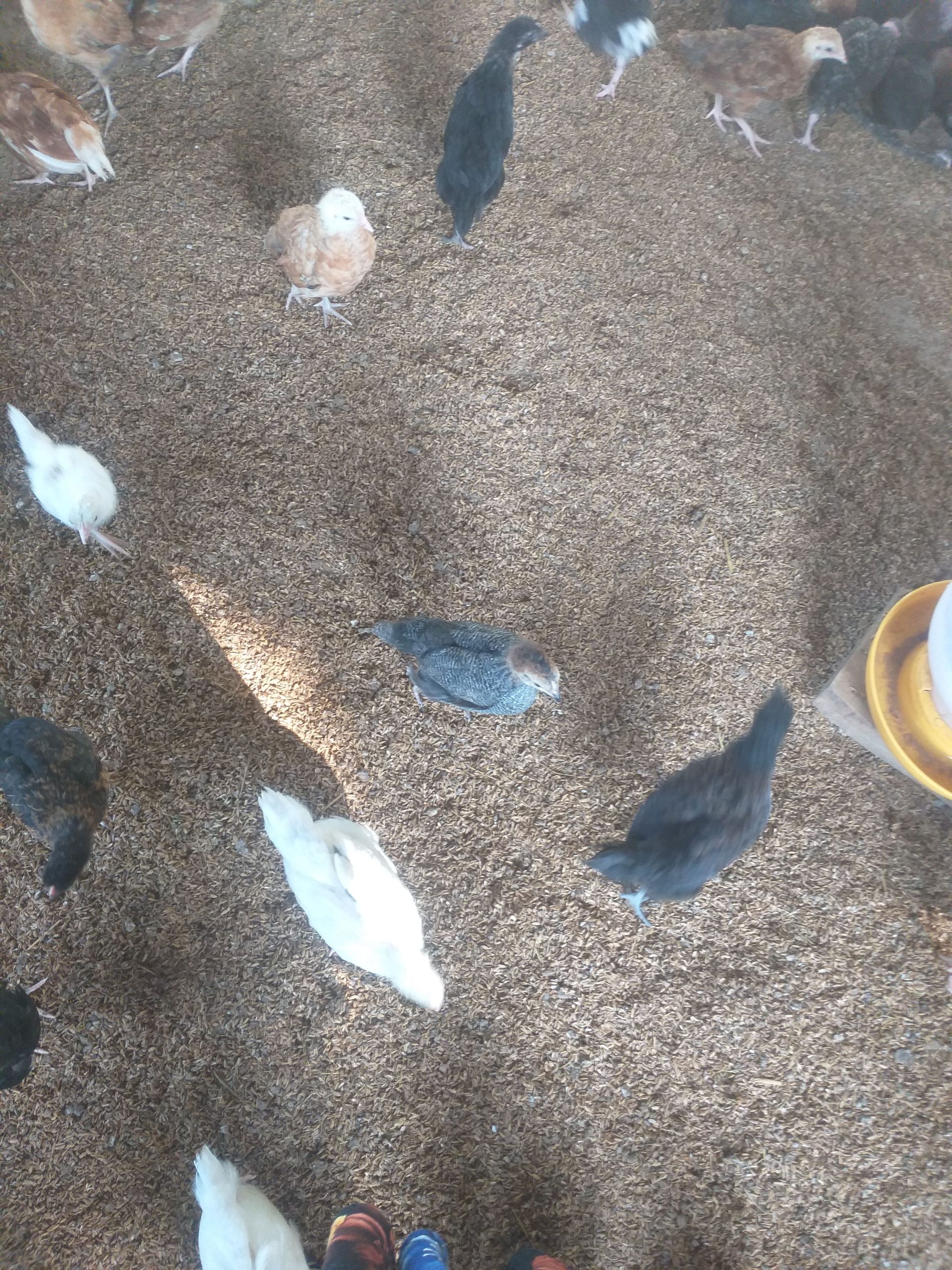 26db89c9-68a0-48bc-a2ba-365a0b4e5a0b