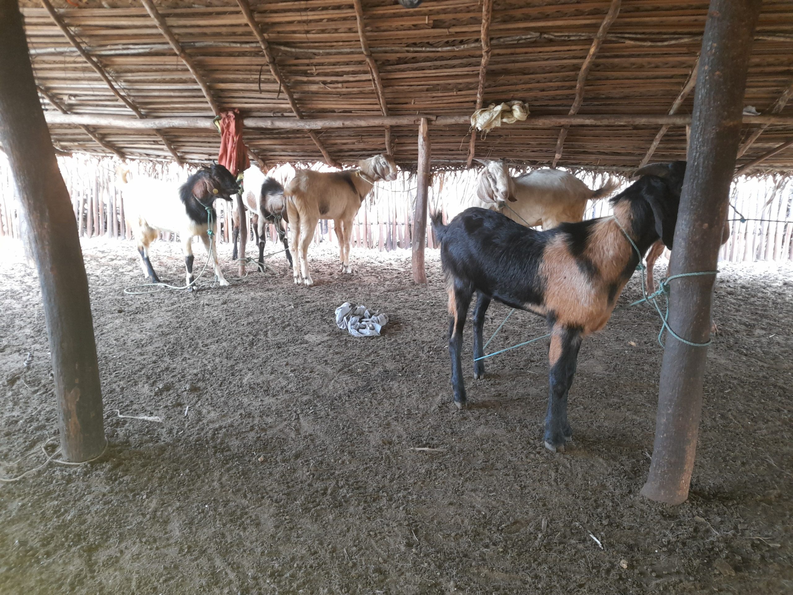 2e6b920b-80bf-4e80-9f22-0c3491074abb