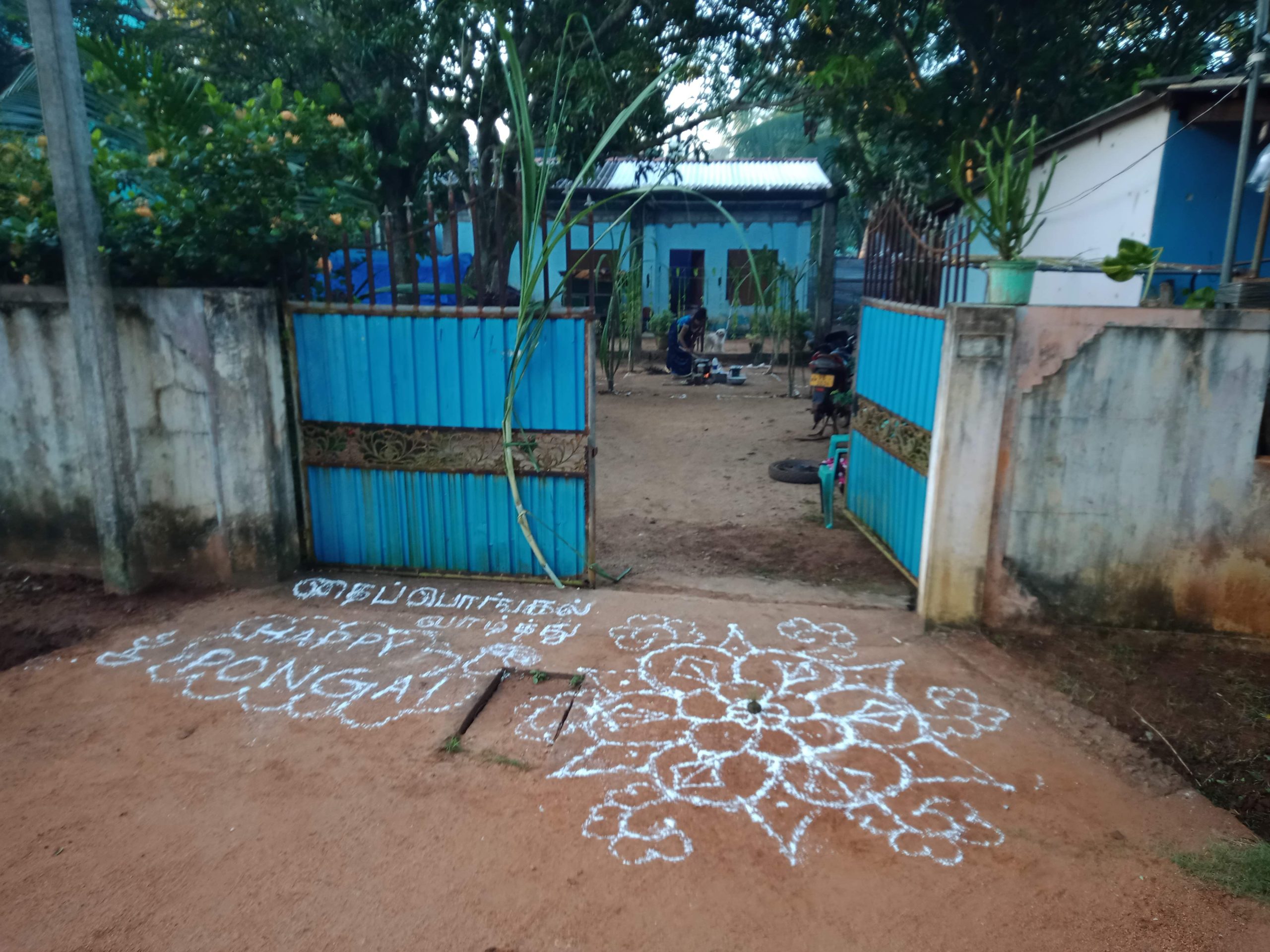 3bf87ab1-5985-4a13-9948-ac1d4c40d973