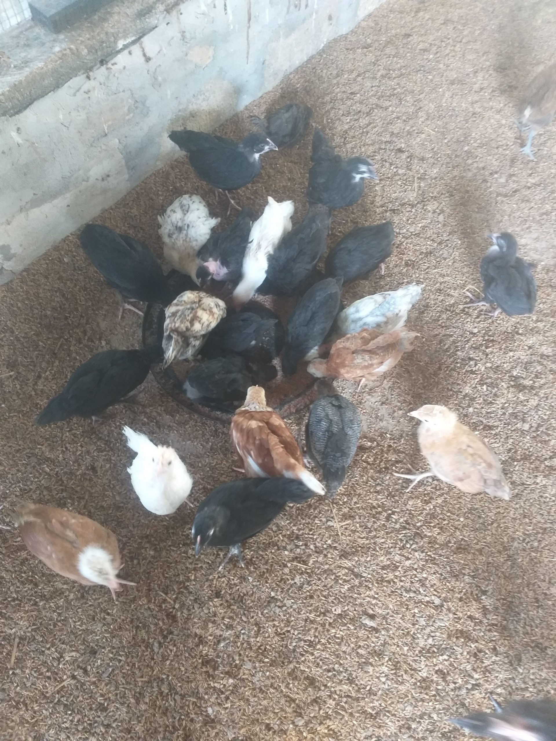 3ee15cbc-f9bf-4273-952a-eaed1c0cdc85