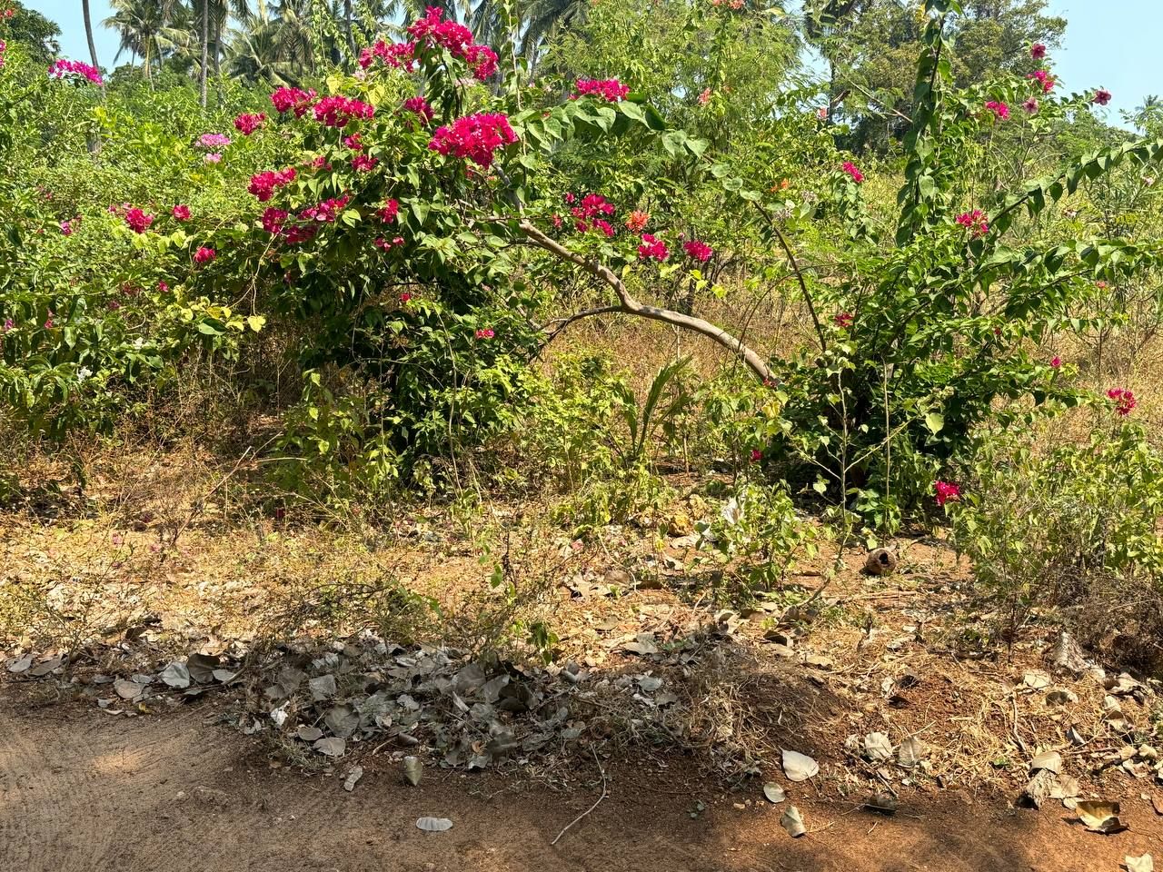 68aa6e12-65b2-4e45-9320-34edebbc9b79