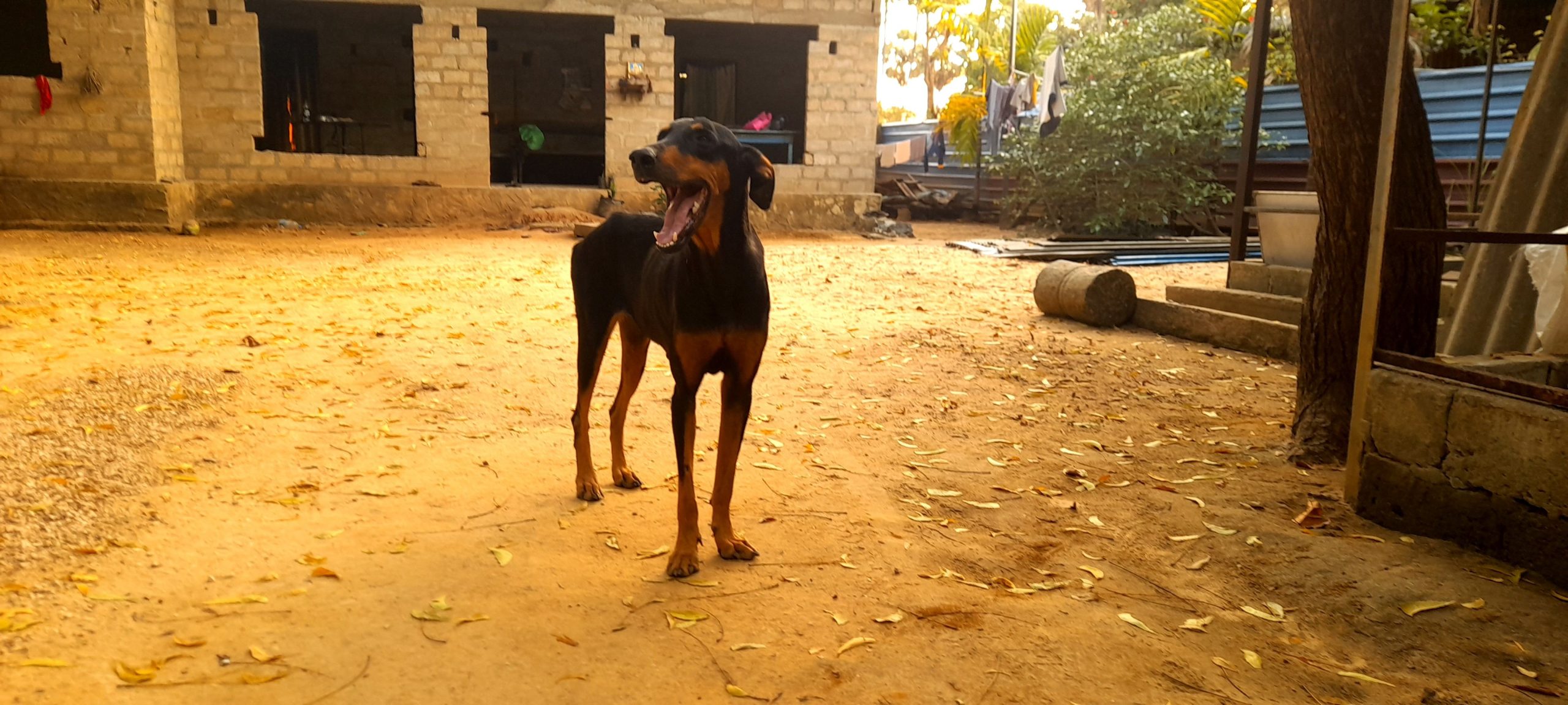 6b7ed064-1394-4dd4-add2-89100690e688