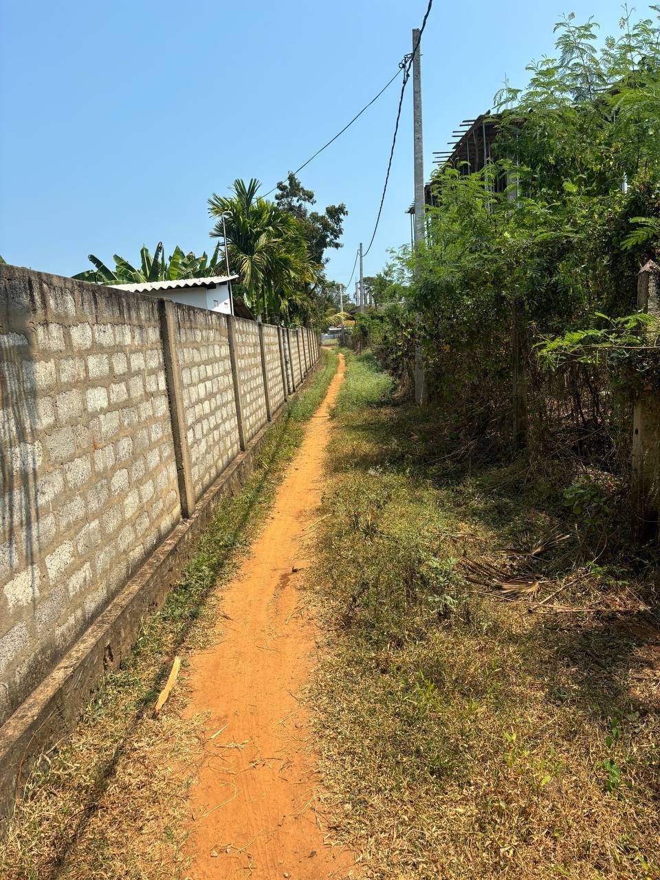 85a670e1-031a-46ab-97da-cc7e19715589