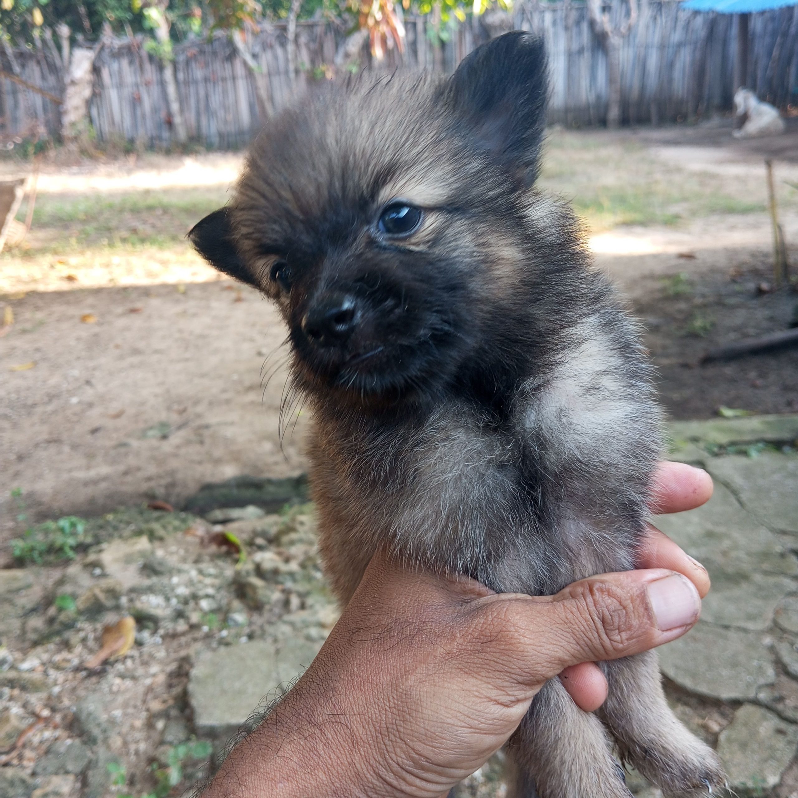 9b88d21f-9704-412c-a296-64b1820f34a8