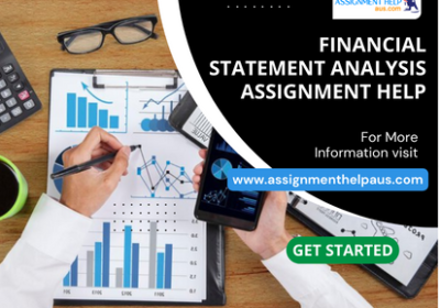 Financial-Statement-Analysis-Assignment-Help4
