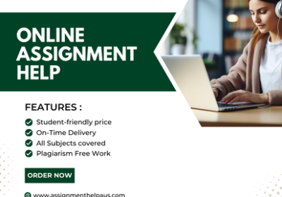 Online-assignment-help2