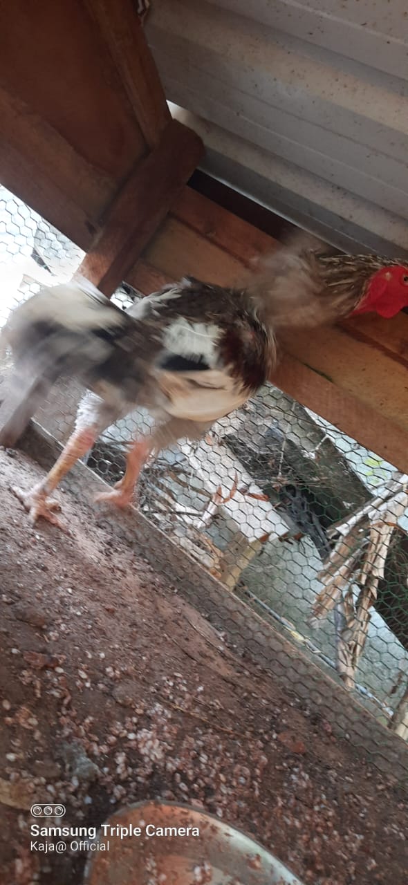 WhatsApp-Image-2024-03-02-at-13.31.42_0aade7ef