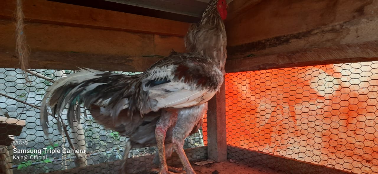 WhatsApp-Image-2024-03-02-at-13.31.42_9084aa1d