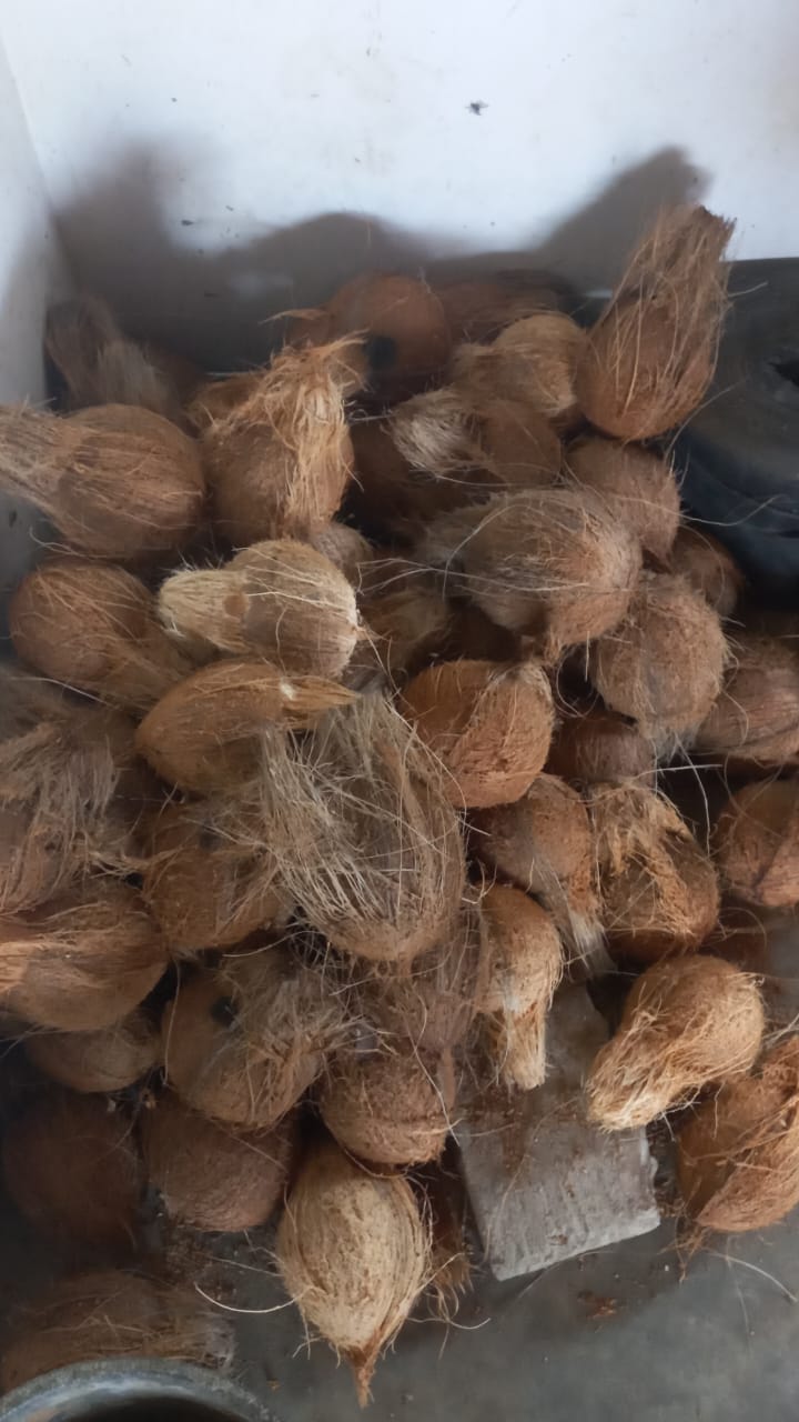 WhatsApp-Image-2024-03-23-at-09.51.10-1