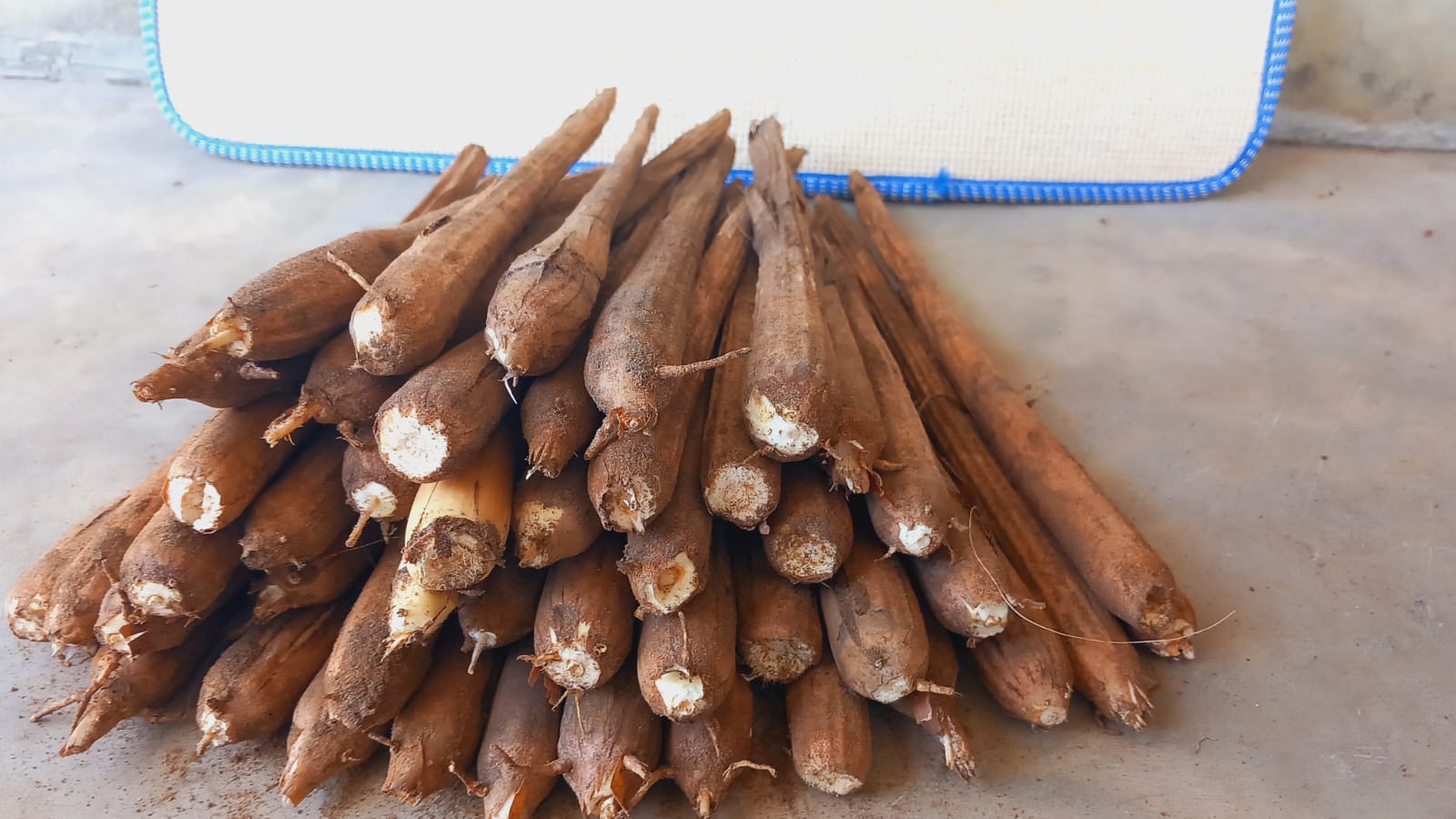 WhatsApp-Image-2024-03-23-at-09.51.13-1