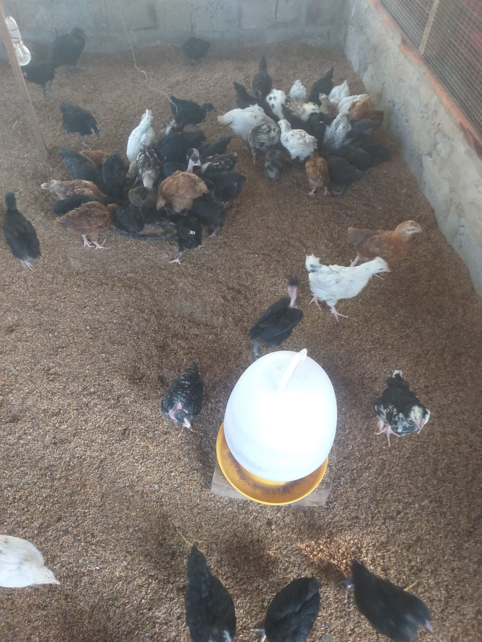 e74f12fa-82ee-481f-b9c5-68841e37cc3f