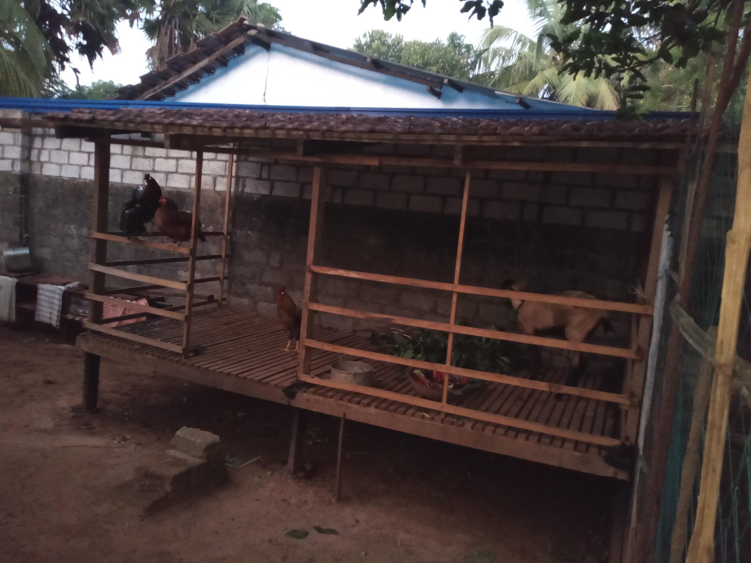 ee11baeb-359d-43a2-9127-54ff274a0ea1