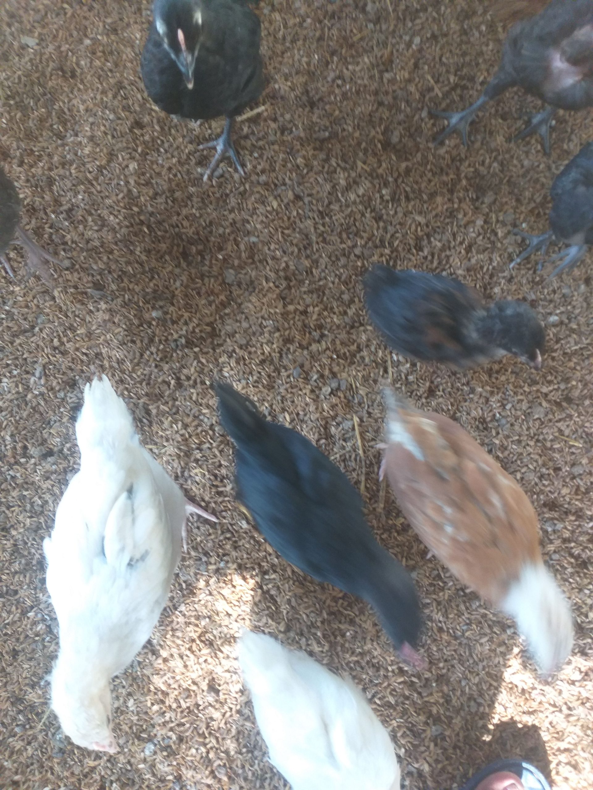 f83d68f4-adc0-4806-aeba-1884e70e2c47