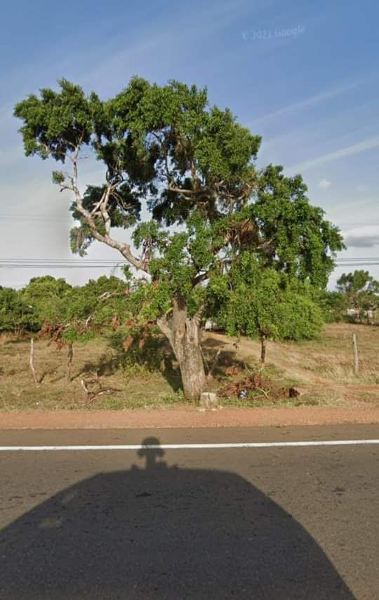 0cd732a0-0722-448c-bf9d-96f6fc6cb179