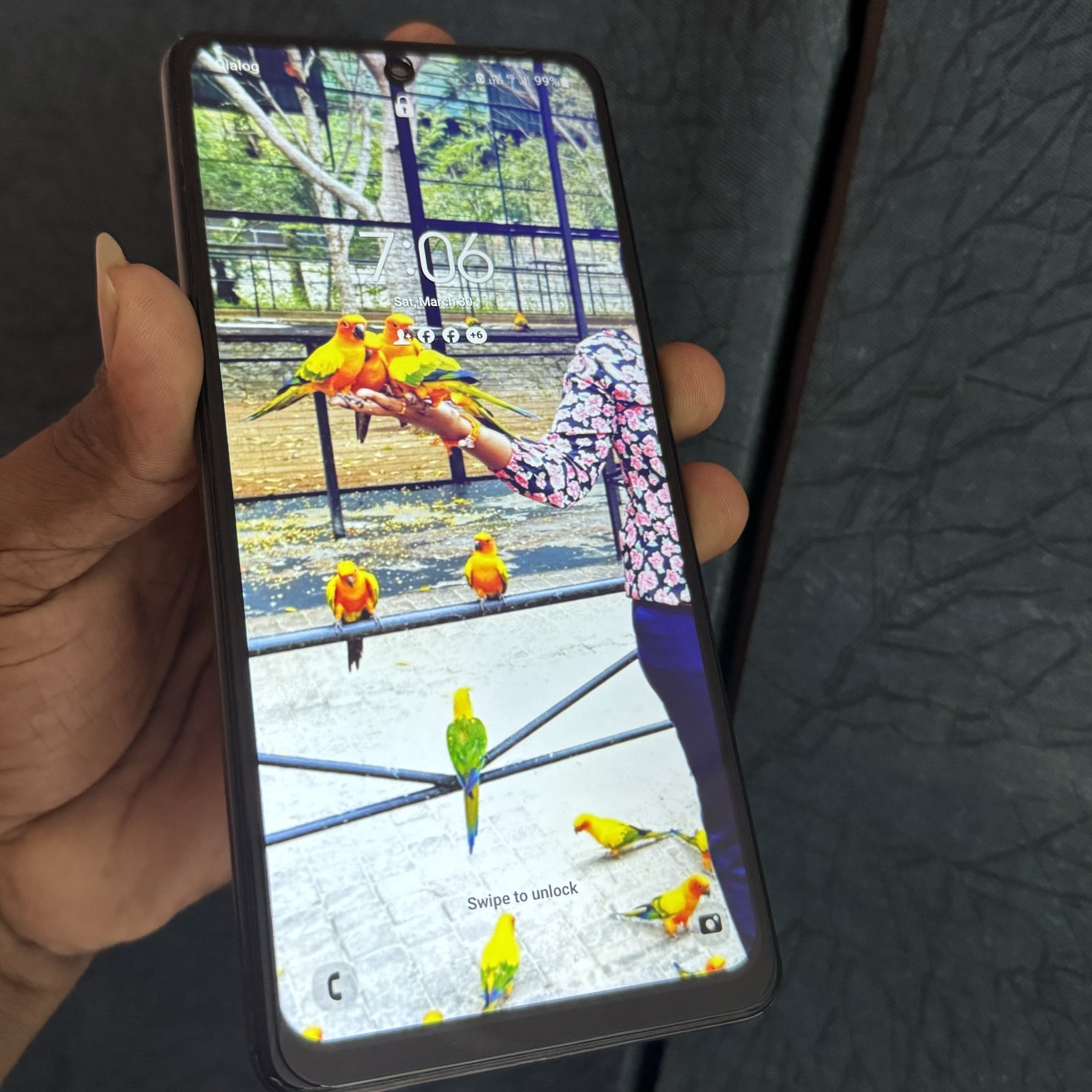 1AED2CE9-2795-4603-A67E-86D3CAFC6297