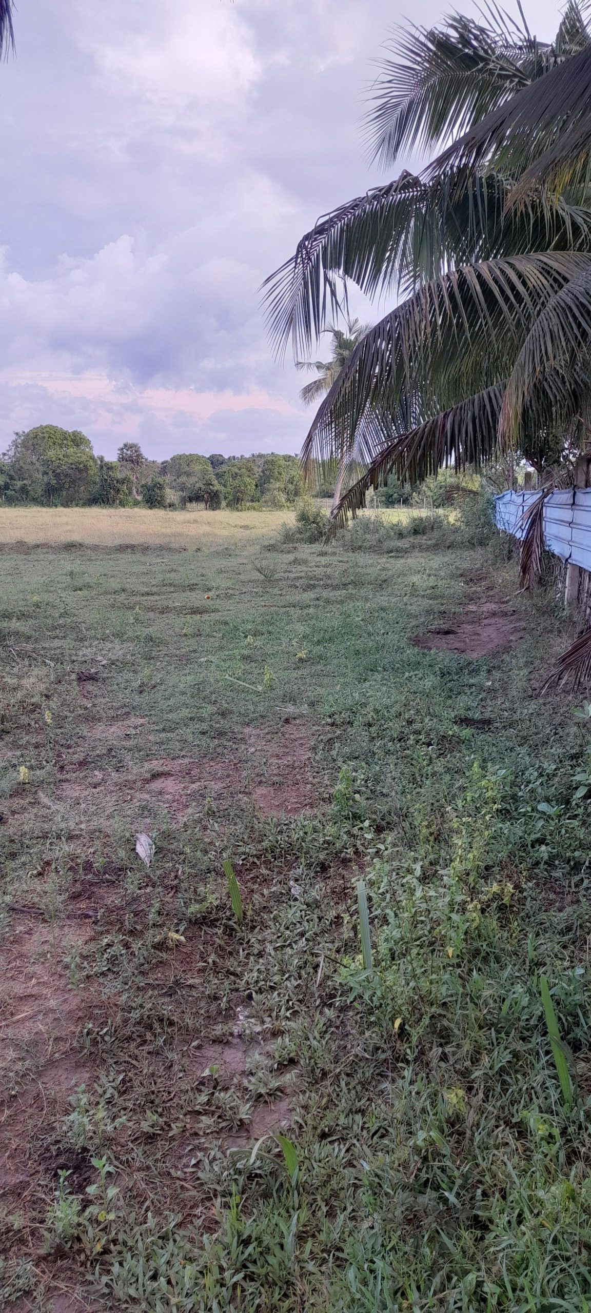 1f3636fc-6d06-4bc5-8c44-56b6ef02b9da