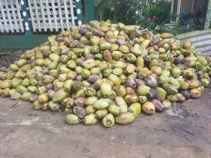 32e65bc8-9062-4985-ba33-3639f5ce1061