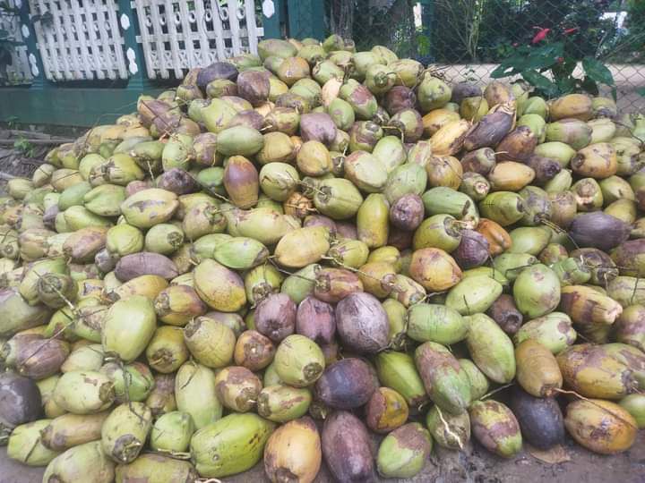 3f5b0108-f14c-481f-bd2a-05d5f7d5b1f7