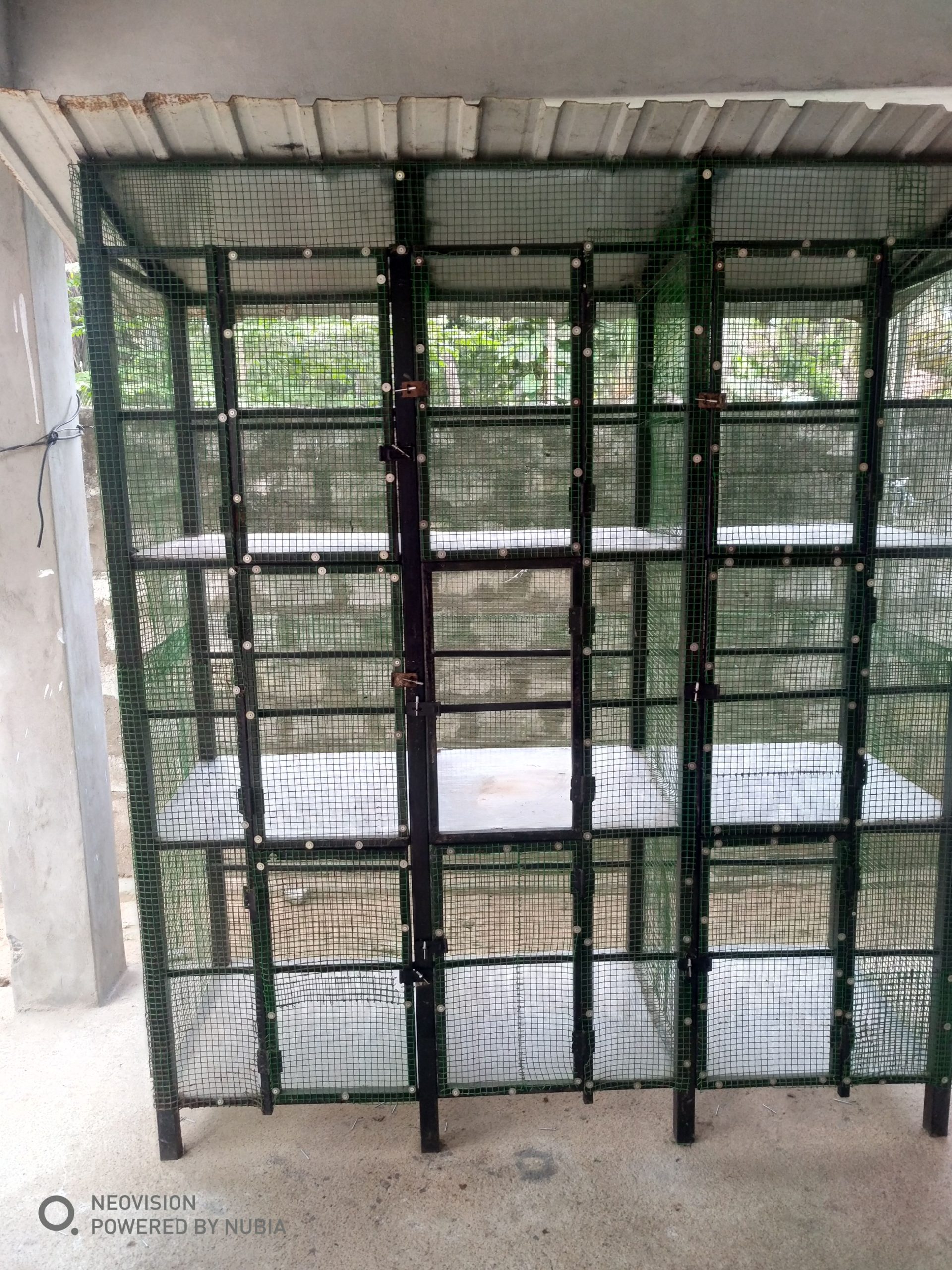 d6a41fd7-5a62-4a98-9648-a704836fd6a4