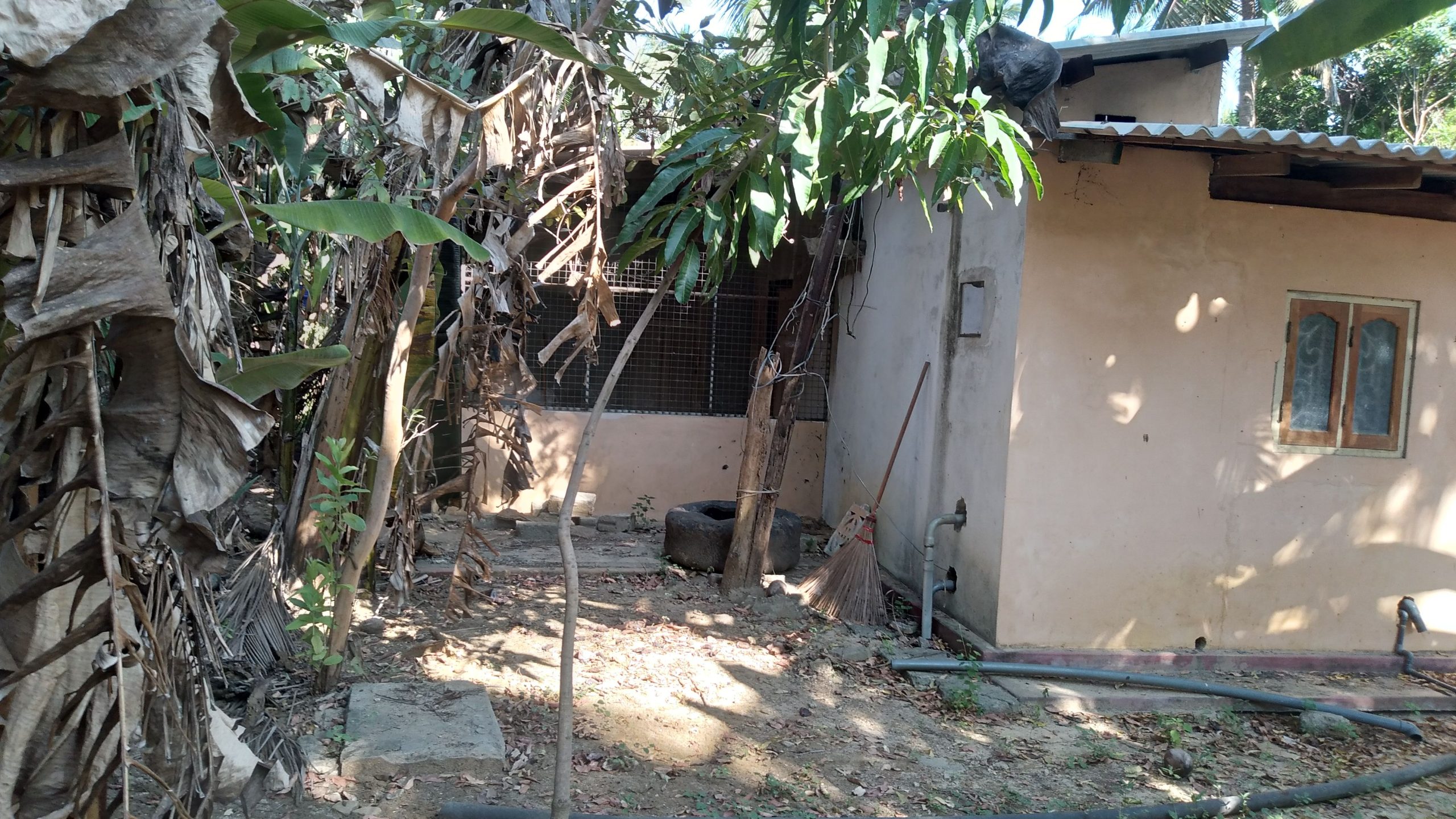 daaed226-77e7-464b-b2e3-4bab93fe4035