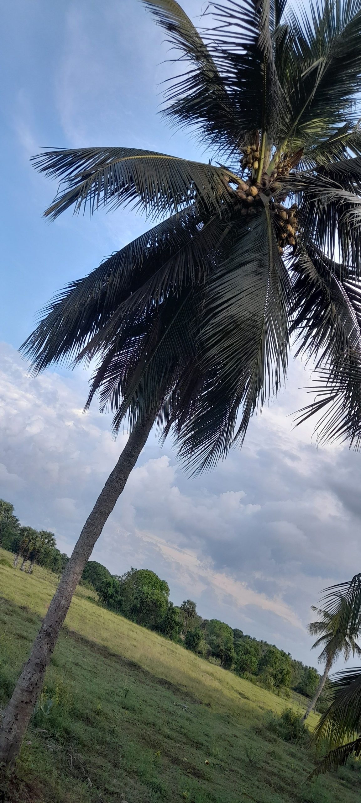 dc6bd606-d870-4c8c-a057-5853a7abd704