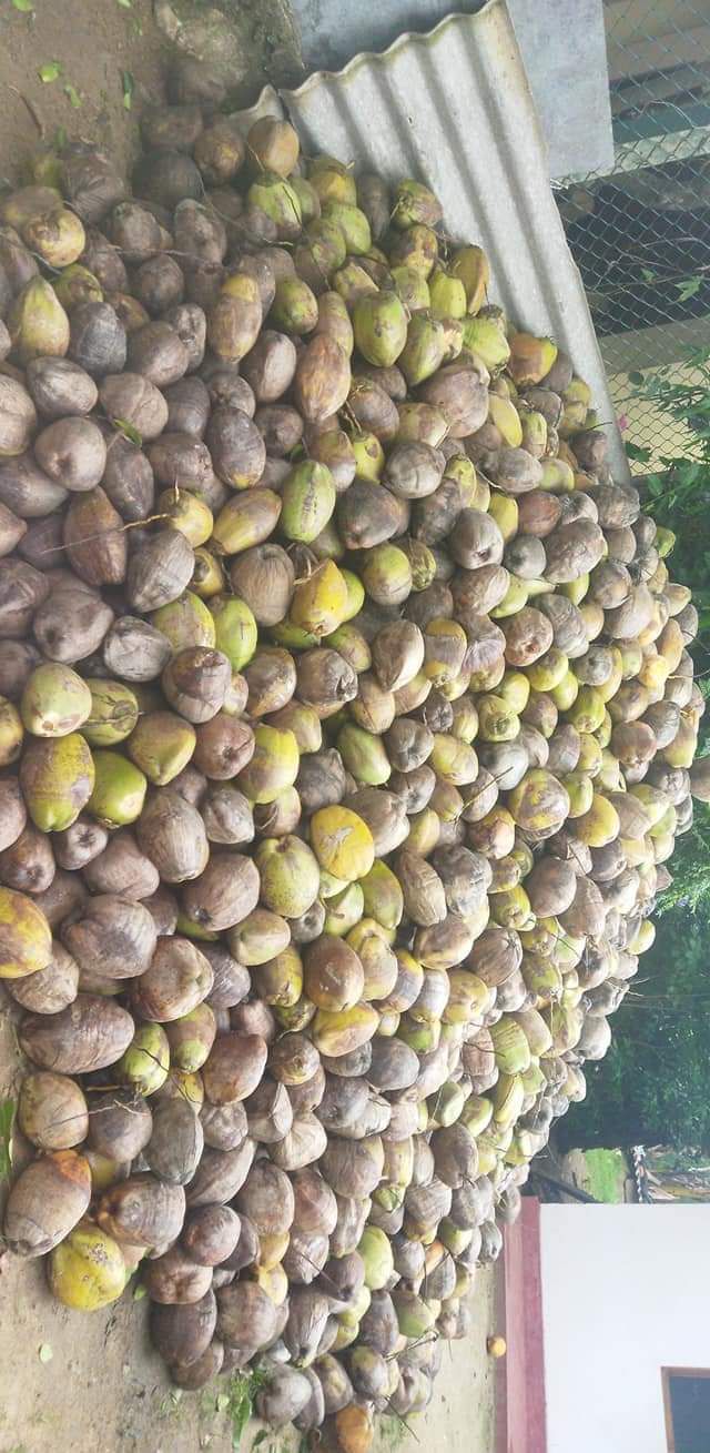 e55b18f5-190d-4610-a441-c9abecad23db