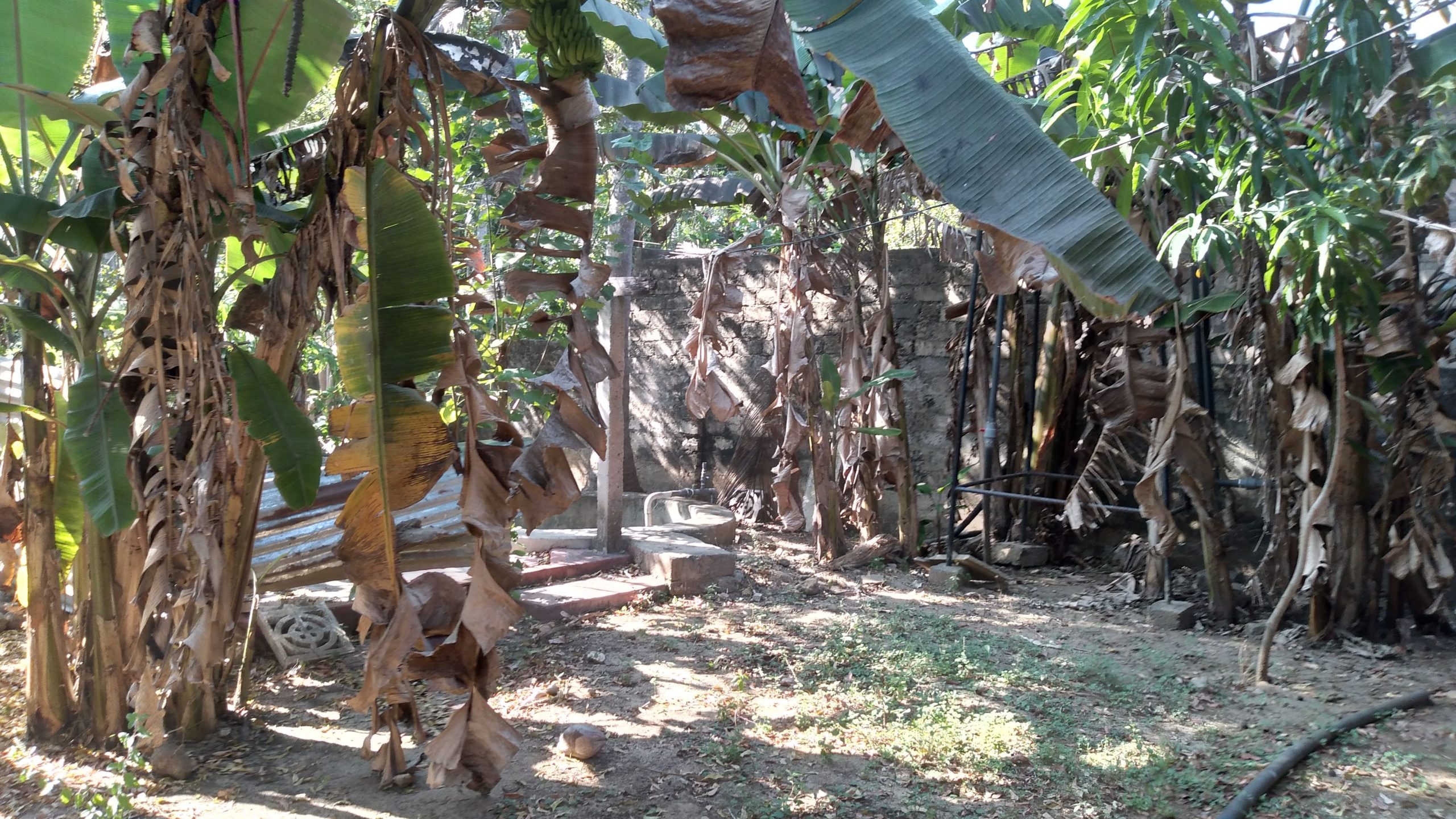 e668c61e-a808-4811-9b61-d8d08321a51f