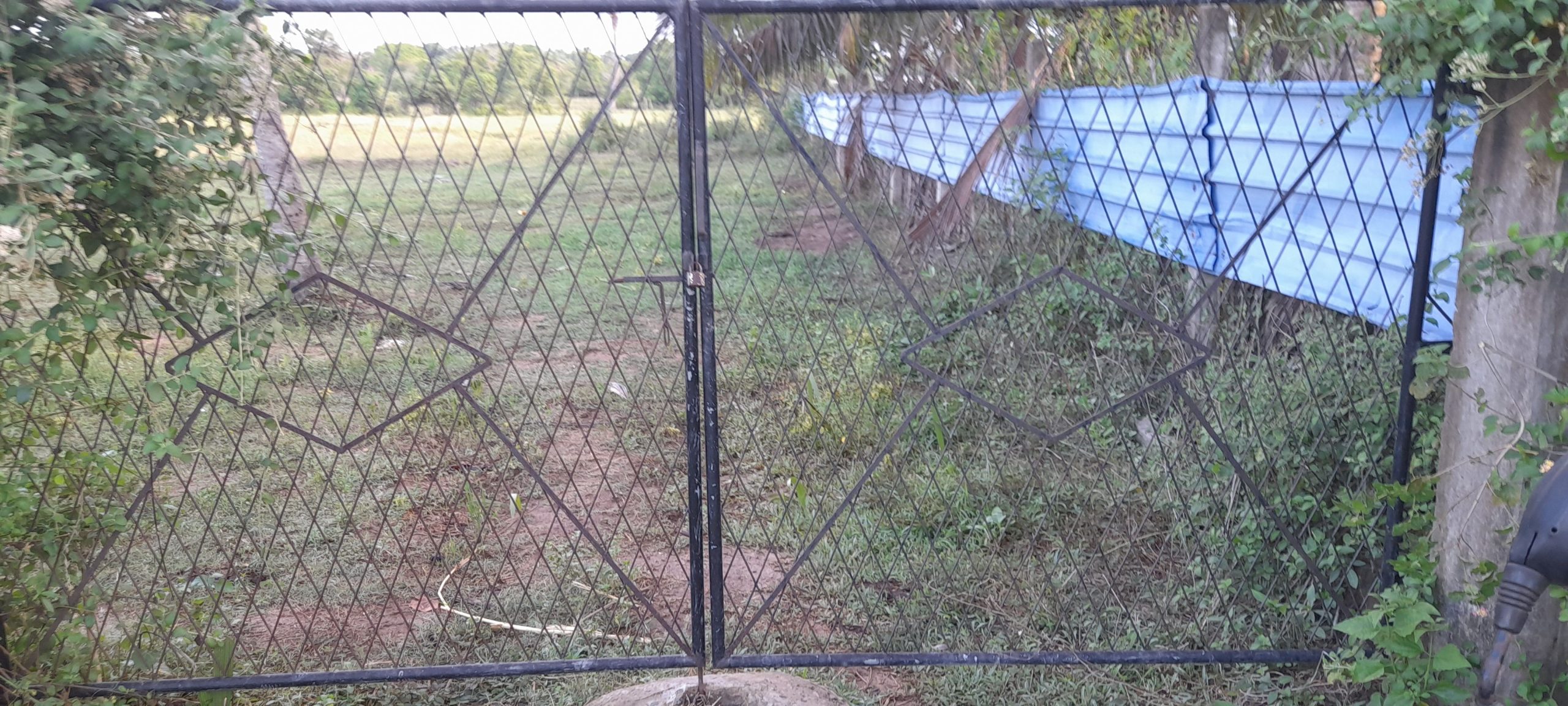 f4f2a648-0482-4e7a-a499-0642f3fd095d