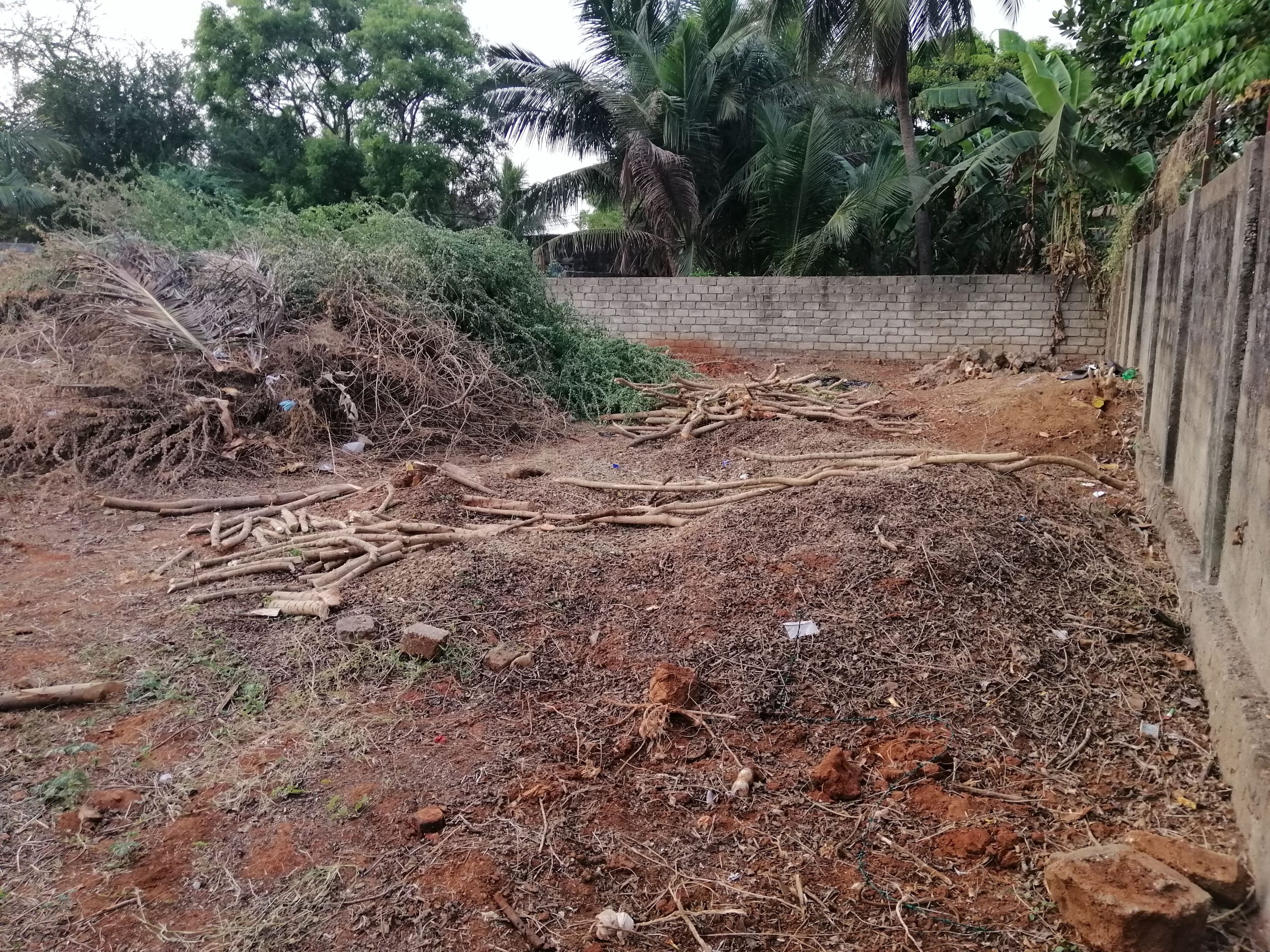 2d71012b-fec5-4ca0-aa86-60c6b5a5e476