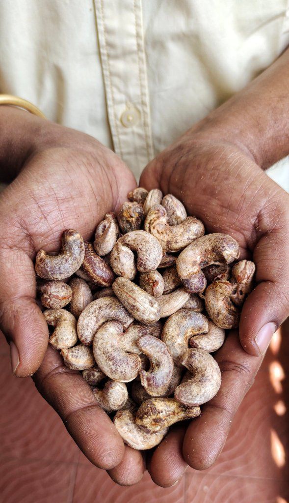 d53ae53a-6841-430f-8bf9-04cc2805bcee-1