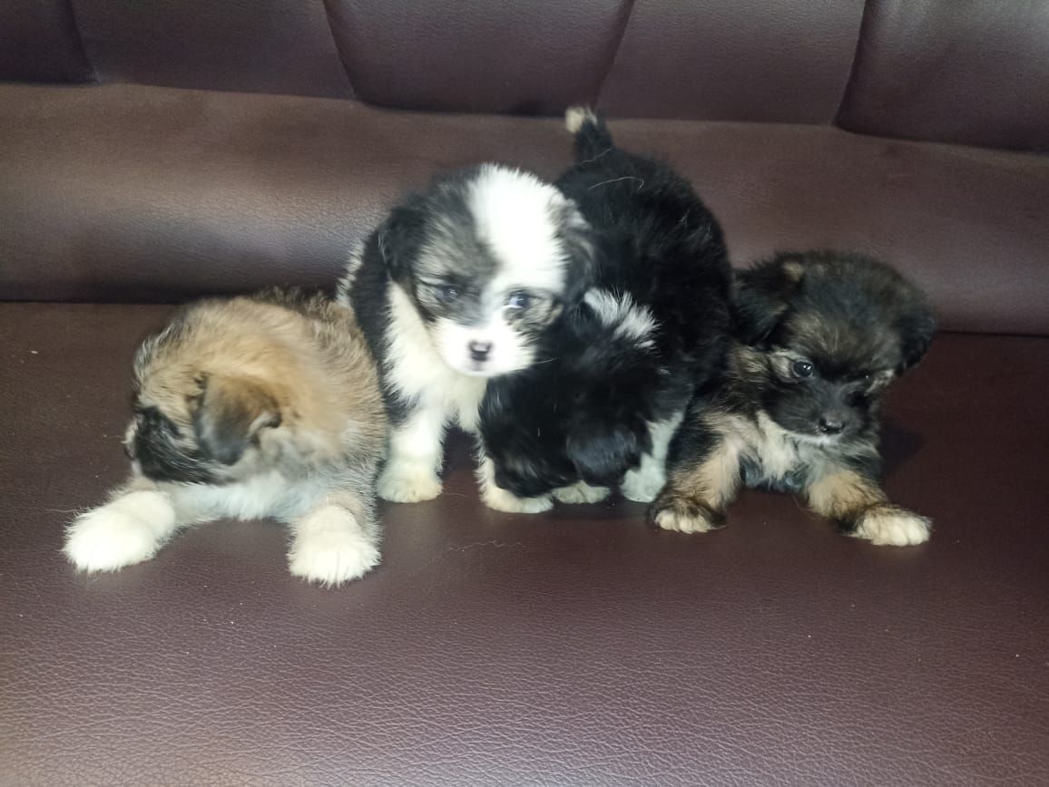 1a14e20d-30cf-4ce5-9df6-5da352de2771