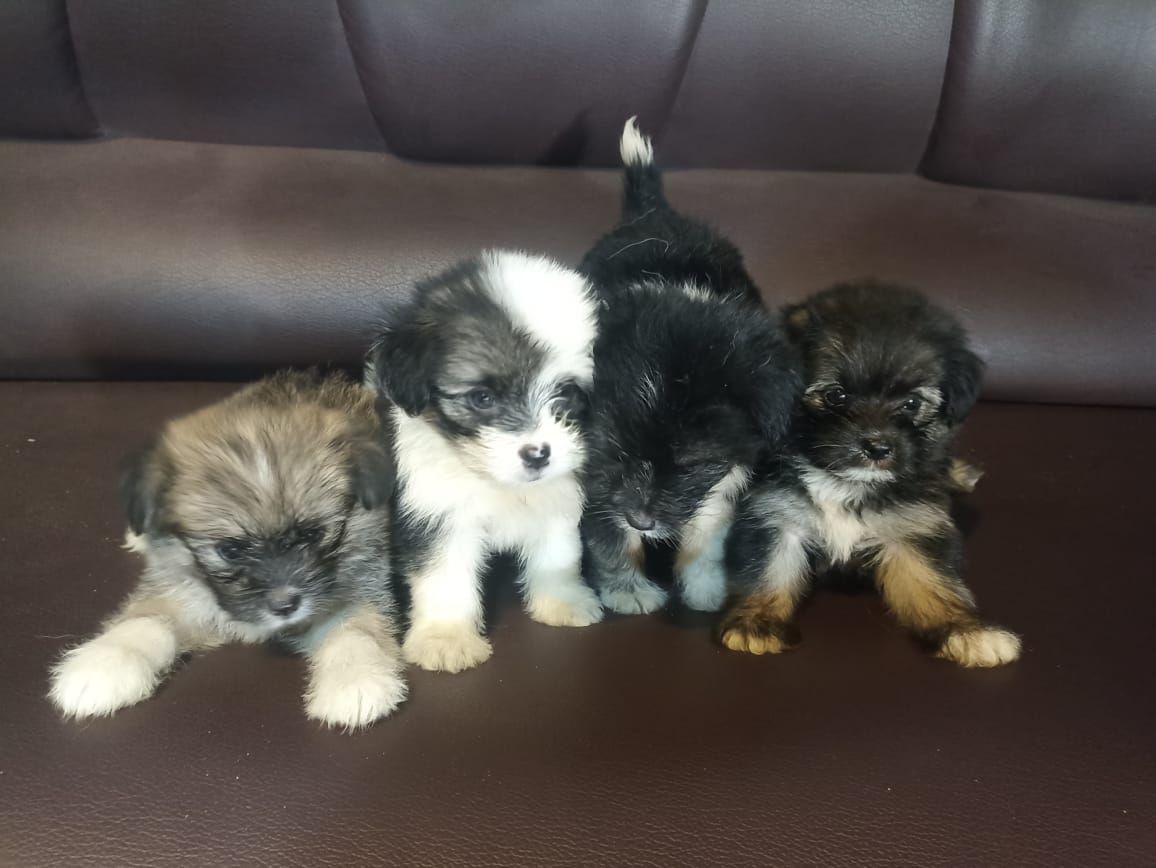 32a2cea0-9229-482e-9ffd-ba7d0f1f6709