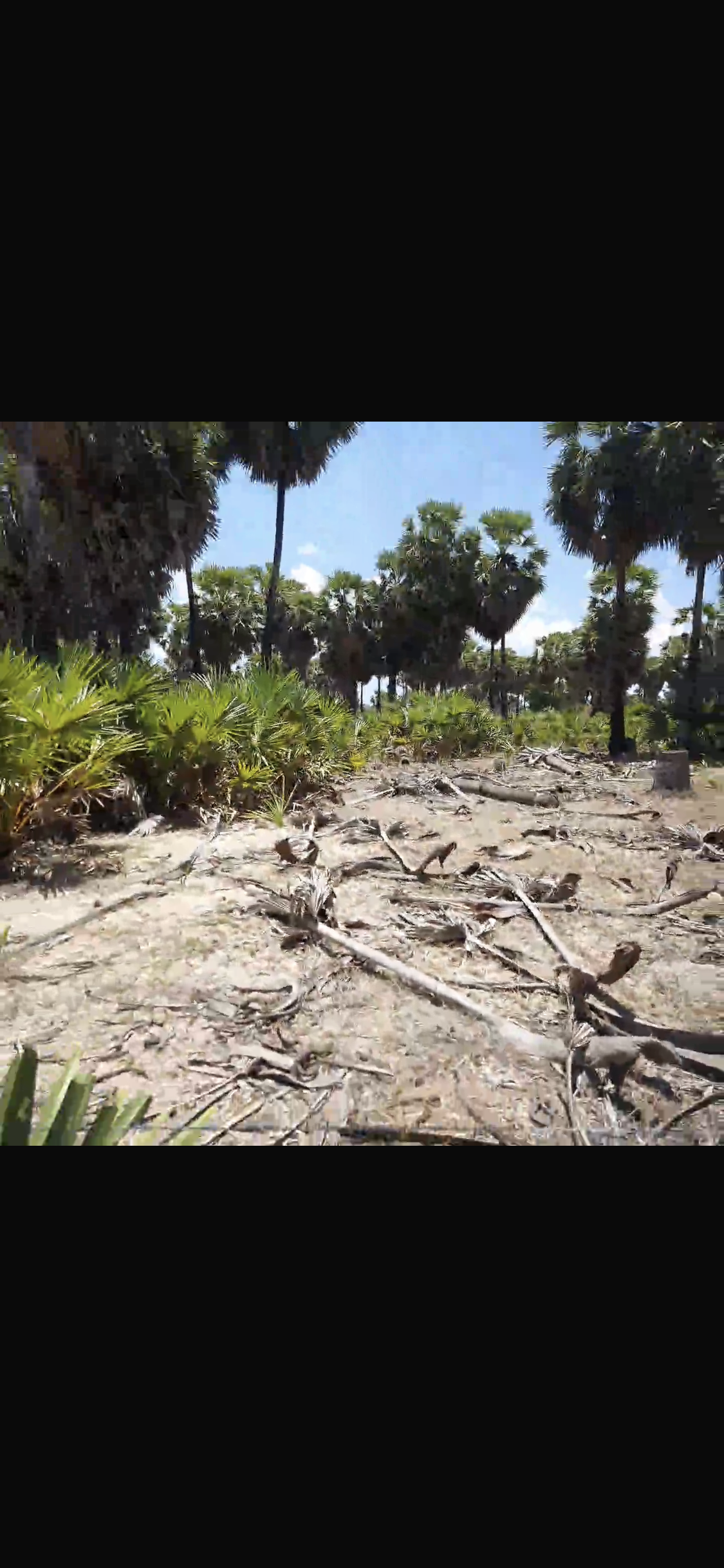 1BC5B5B8-63D1-4744-85E5-72EAAE898801