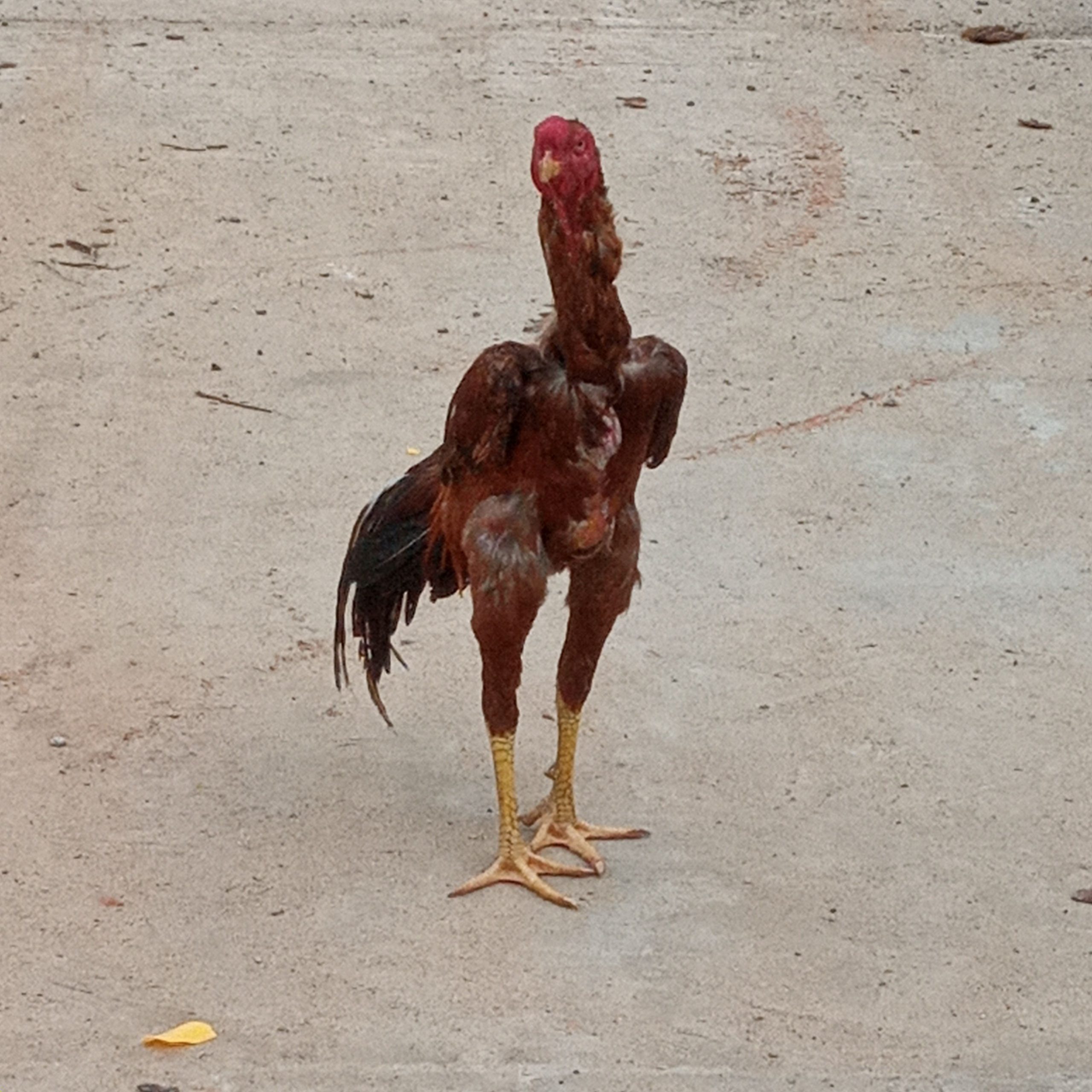 963e90fc-9f7f-454b-a3c2-a27aaedb8f68