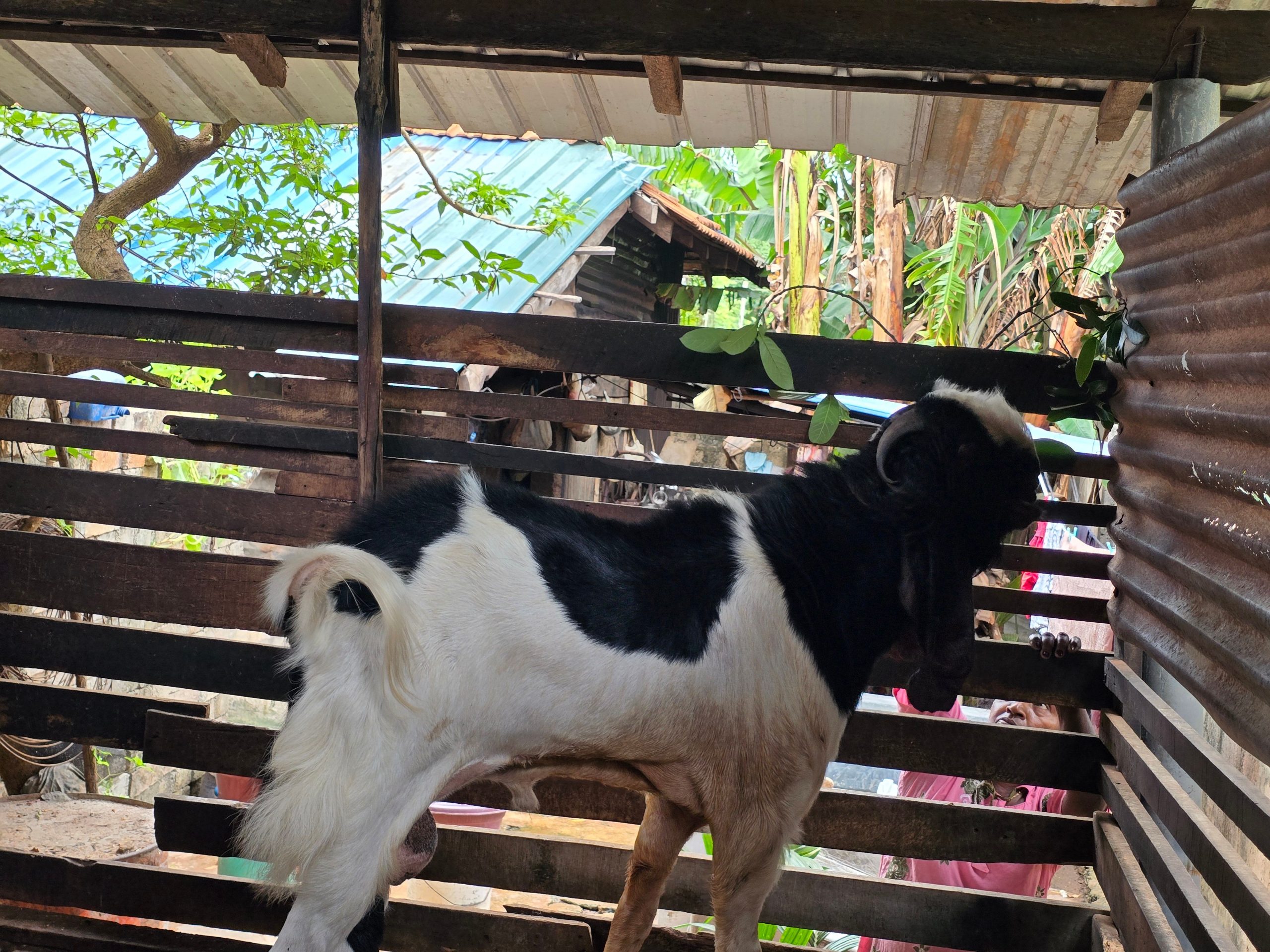 b403ed2c-3a1a-44f5-8f08-84c2b59d1463