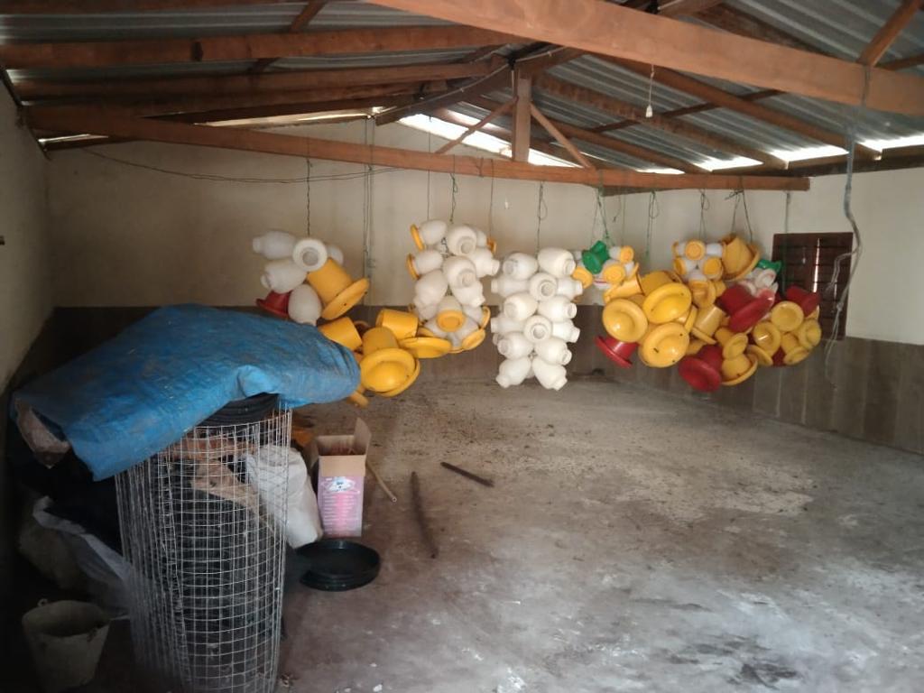 WhatsApp-Image-2024-08-26-at-12.33.11