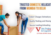 packers-and-movers-mumbai-to-delhi