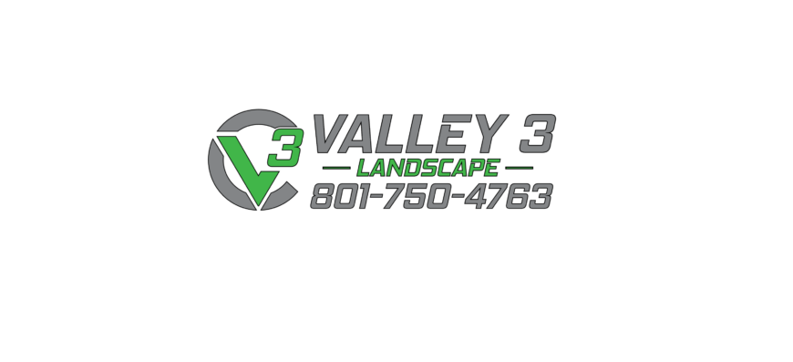 v3-landscape-logo