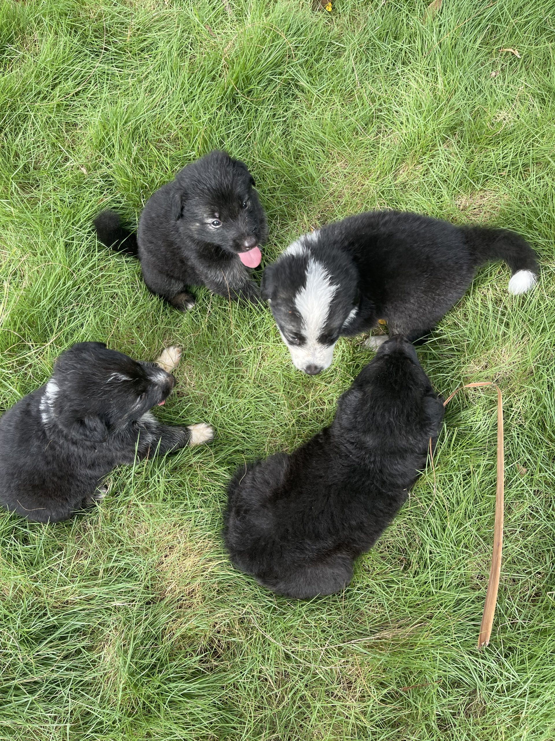 77425DAD-98FD-43A2-807B-CDFC64CACFE9