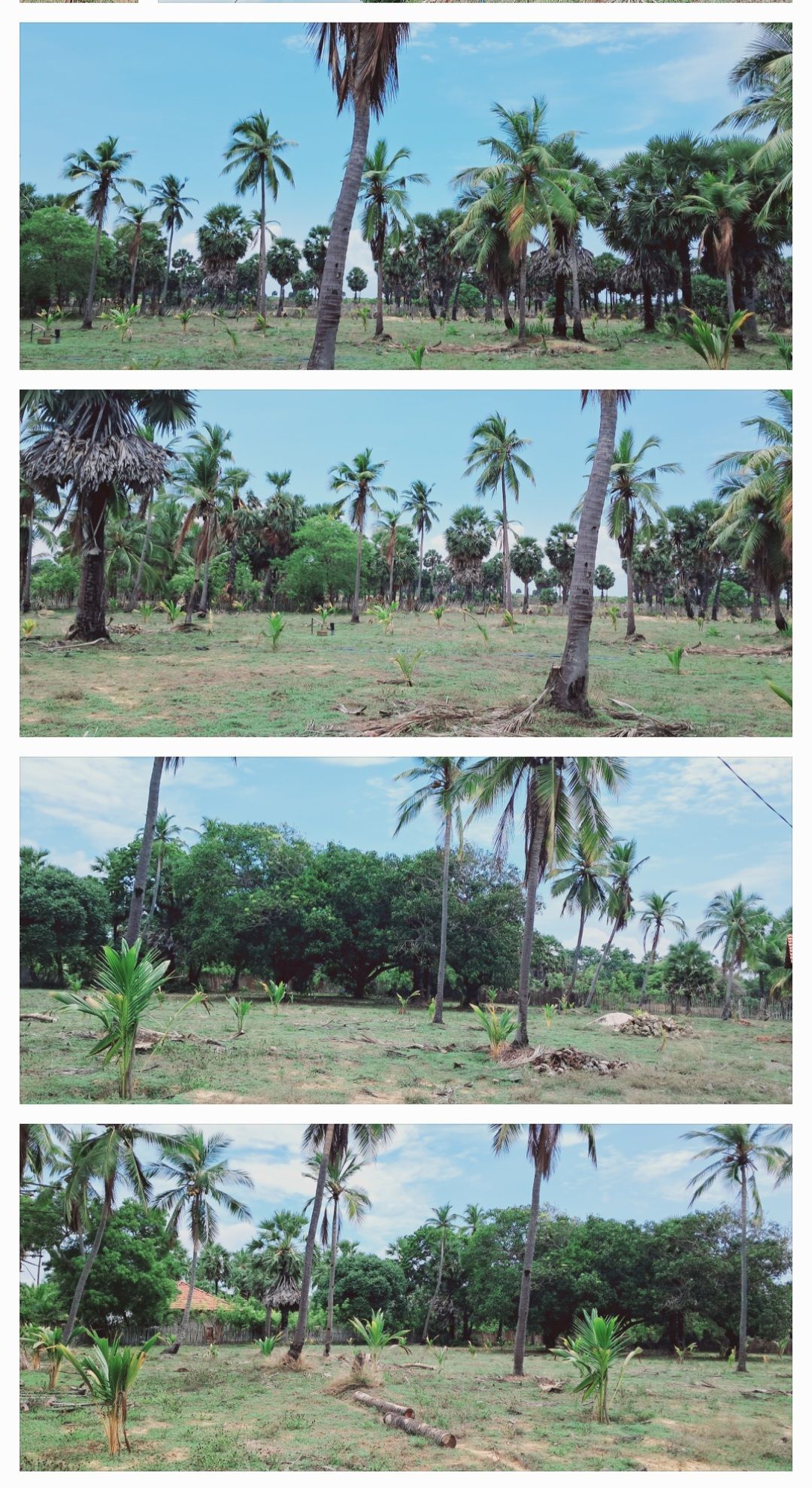 ba348755-2e5c-40a9-a916-1a4597a31bb1