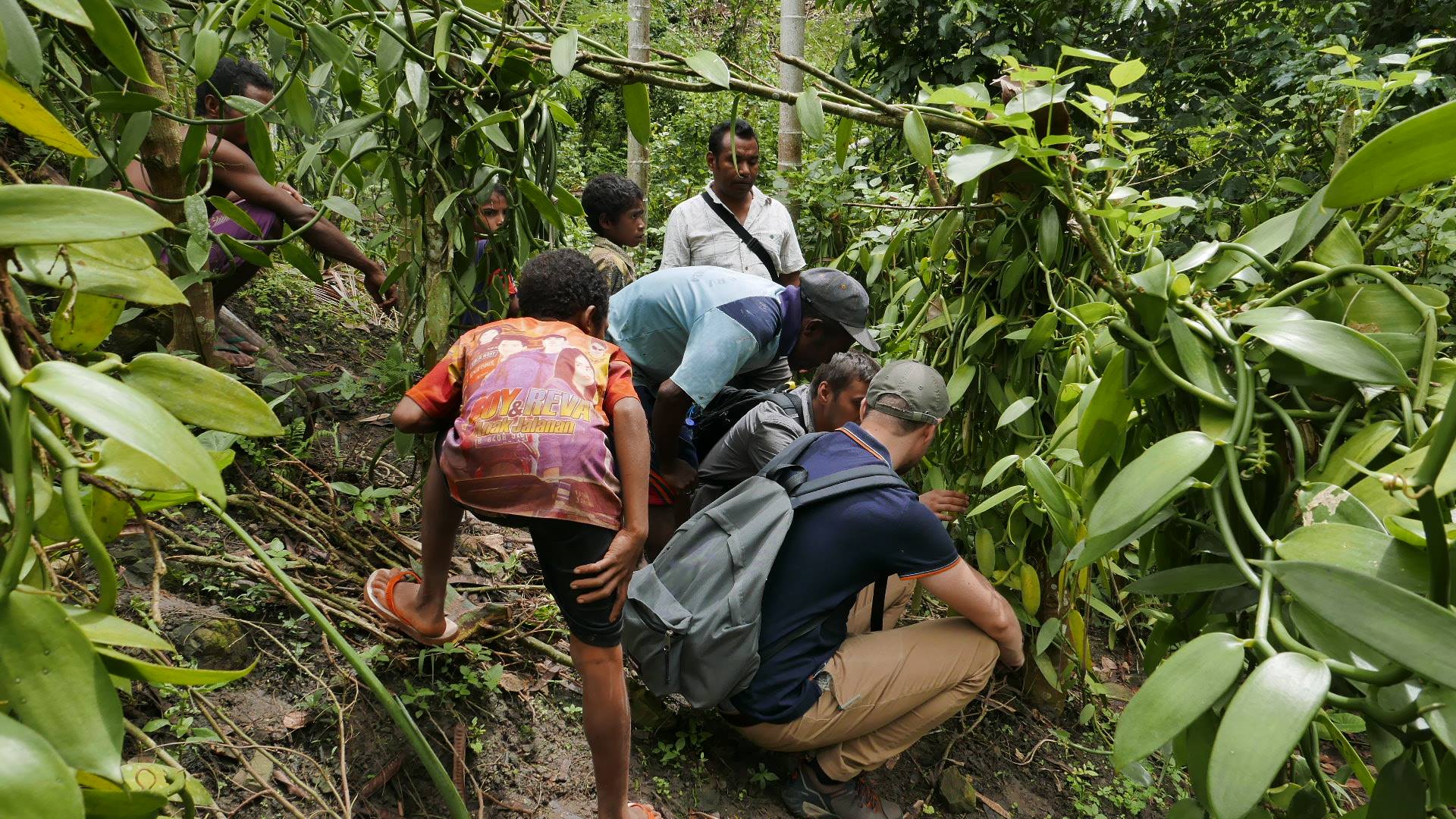 47135645_724460814579034_7731039058054348800_n