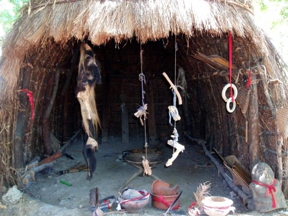 4978643_1597601262_194989442_1590861582_9traditionalhealer