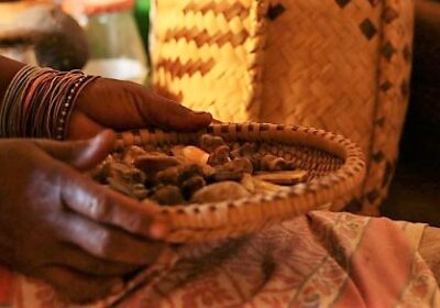 49cdc-traditional-healer-featured-1