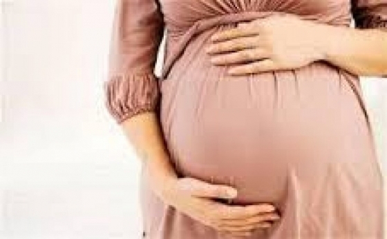 5660295_1638374917_171435563_1502723120_0538196_1468581909_827834915627-david-abortion-clinics-in-middelburg-secunda-embalenhle-ernelo-witbank-nelspruit_3-4