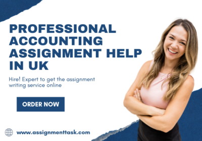 Professional-accounting-assignment-help-in-UK