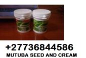 Mutuba-seed-and-Herbal-Oil-for-Male-Enlargement-27736844586-Serius-Man-10