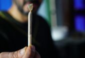 cannabis-smoking-5890427_1920