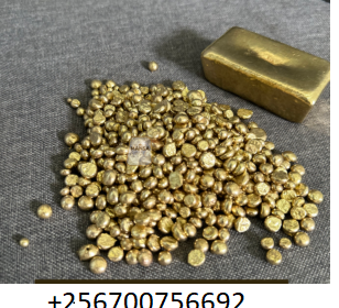 gold-nuggets-with-number-1