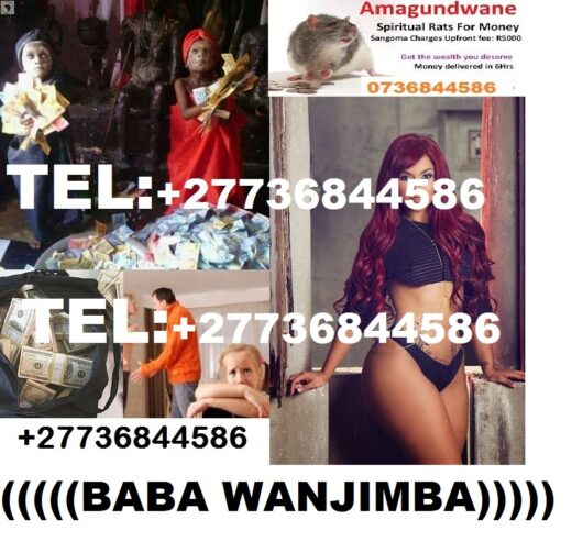 traditional-healer-dr-wanjimba-27736844586-1